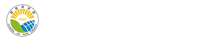 bw西汉姆联